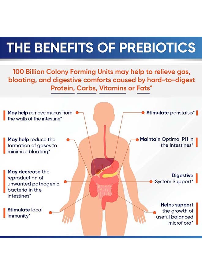 Wholesome Wellness Raw Probiotic 100 Billion CFU Capsules  - Image 4