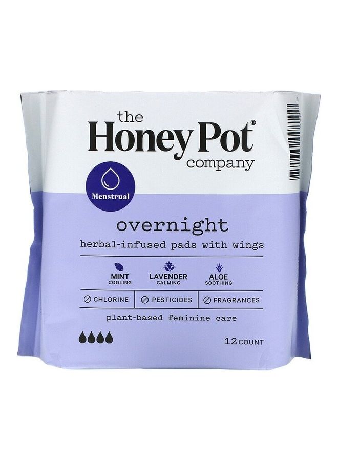 the Honey Pot company Herbal-Infused Pads With Wings Overnight - Image 1