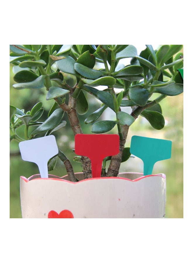 Generic 100-Piece Bag Plant Tag Blue  - Image 3
