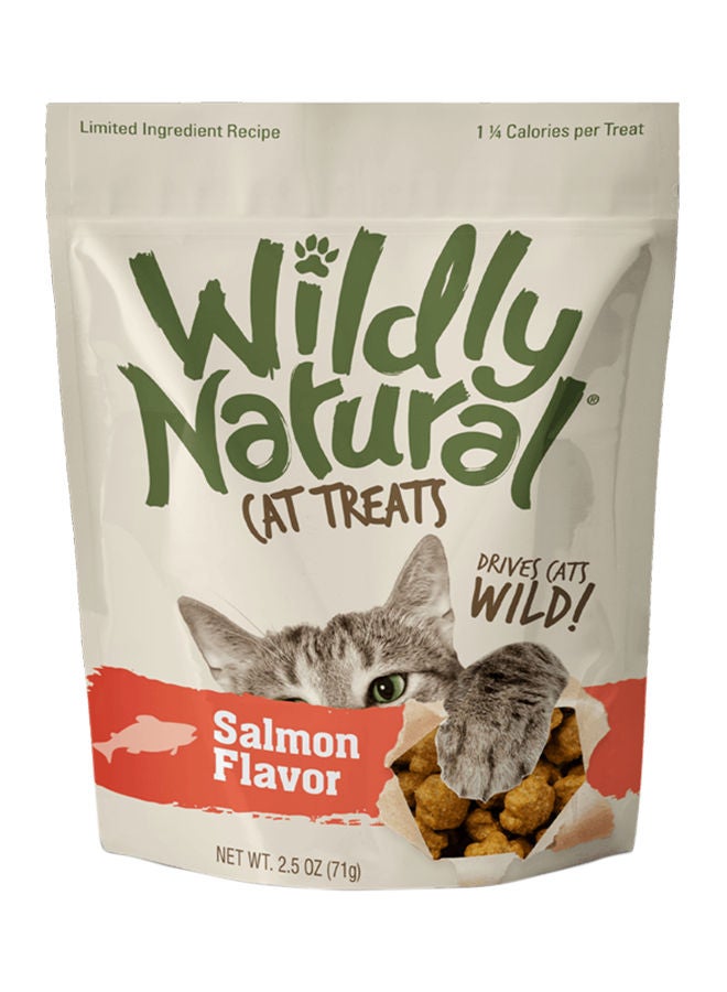 Fruitables - Salmon Flavor Pet Treat 71grams - Image 1