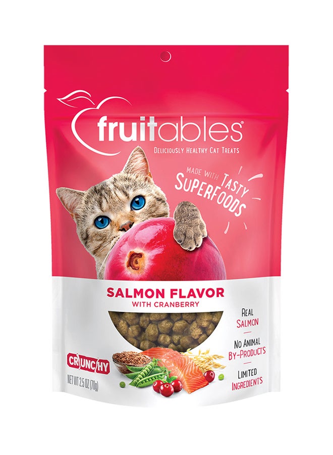 Salmon Flavor Pet Treat 70grams - v1627992173/N49720557A_1