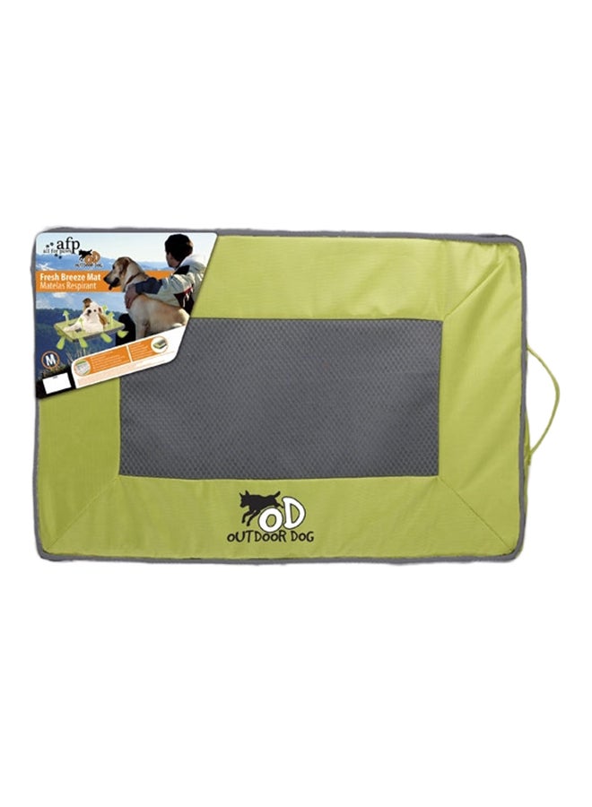 all for paws Quick Dry Outdoor Dog Mat Green 