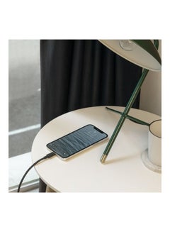 Native Union Belt USB-C to Lightning Charging Cable Black  - Image 3
