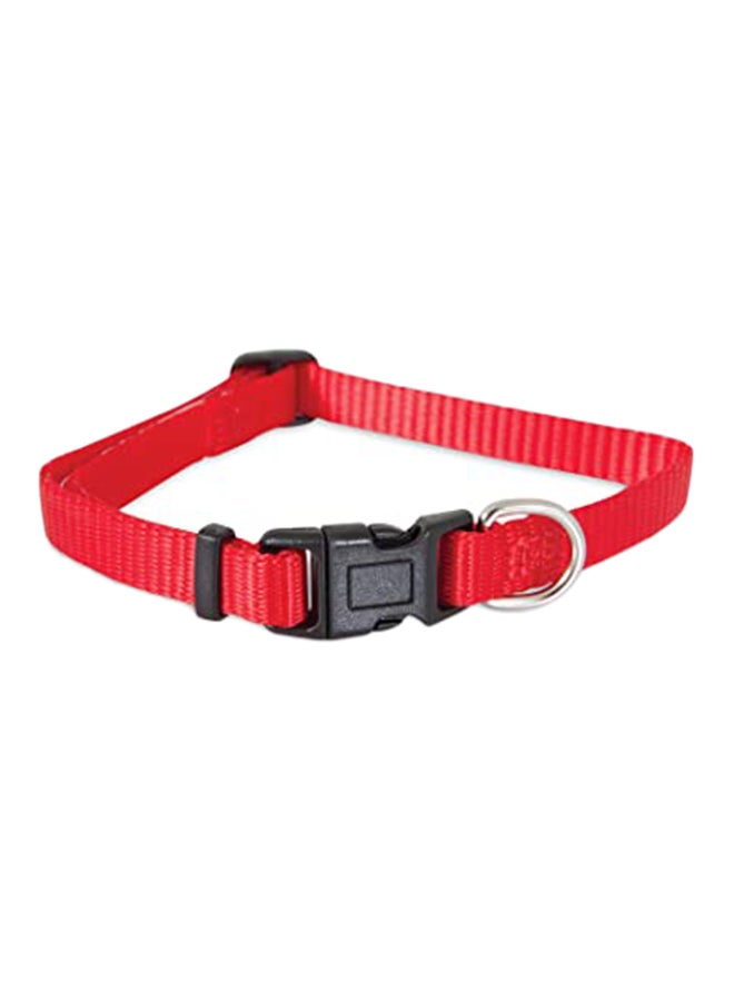 Pet Mate Nylon Adjustable Dog Collar Multicolour 