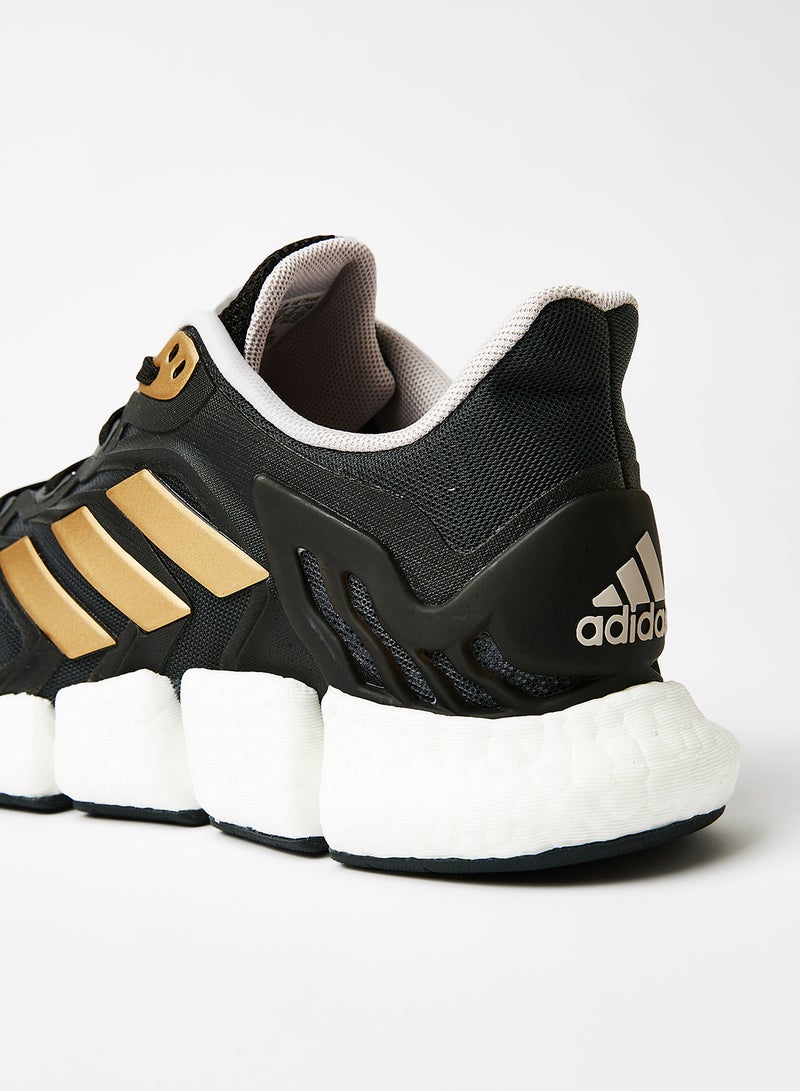 Climacool Vento Running Shoes Black