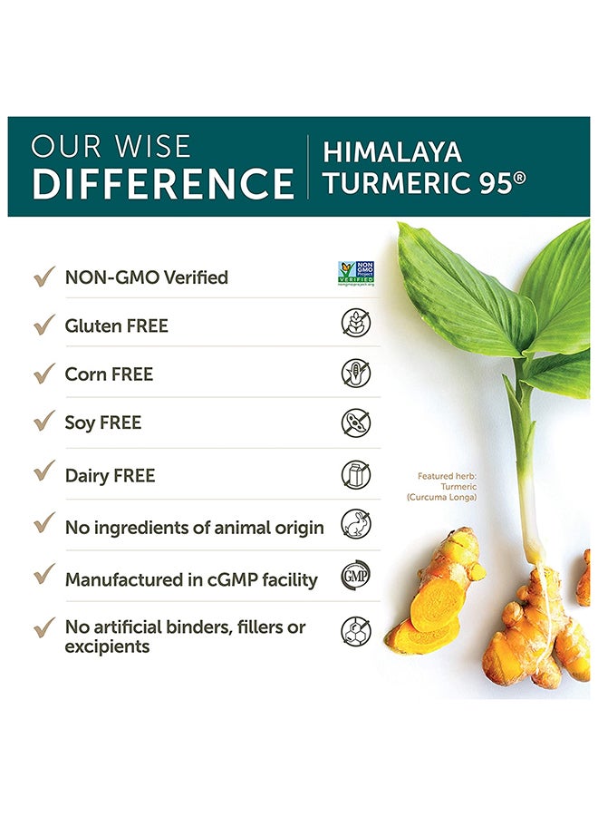 Himalaya - Turmeric 95 With Curcumin Herbal Supplement - 60 Capsules - Image 1