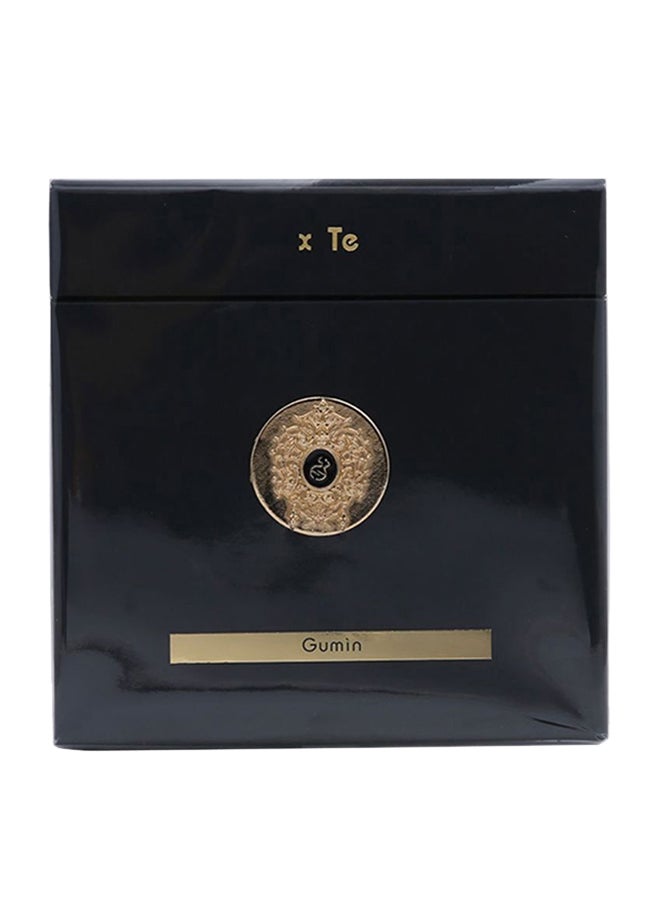 Tiziana Terenzi - Gumin EDP 100ml - Image 1