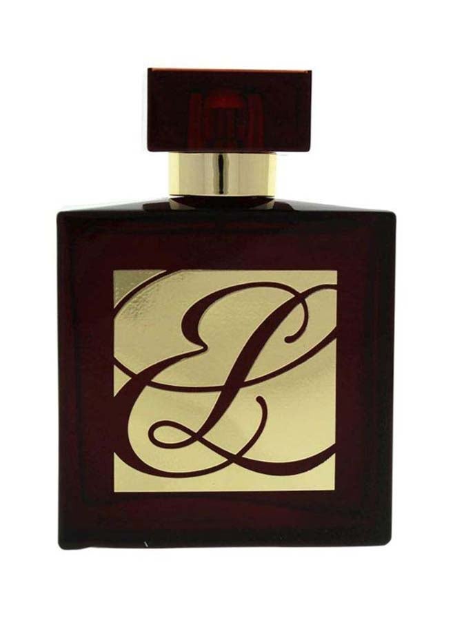 استي لودر - عطر أمبر ميستيك 100ملليلتر - Image 1