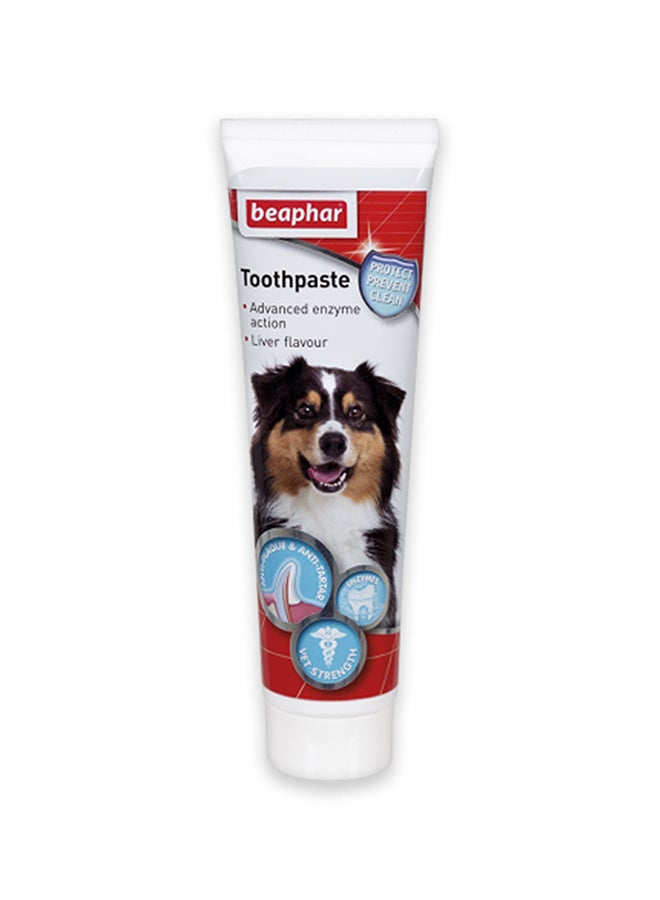 beaphar - Toothpaste Liver Flavor Multicolour 100grams - Image 1