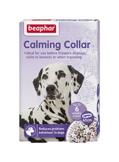 beaphar Calming Collar For Dog Purple 31cm 