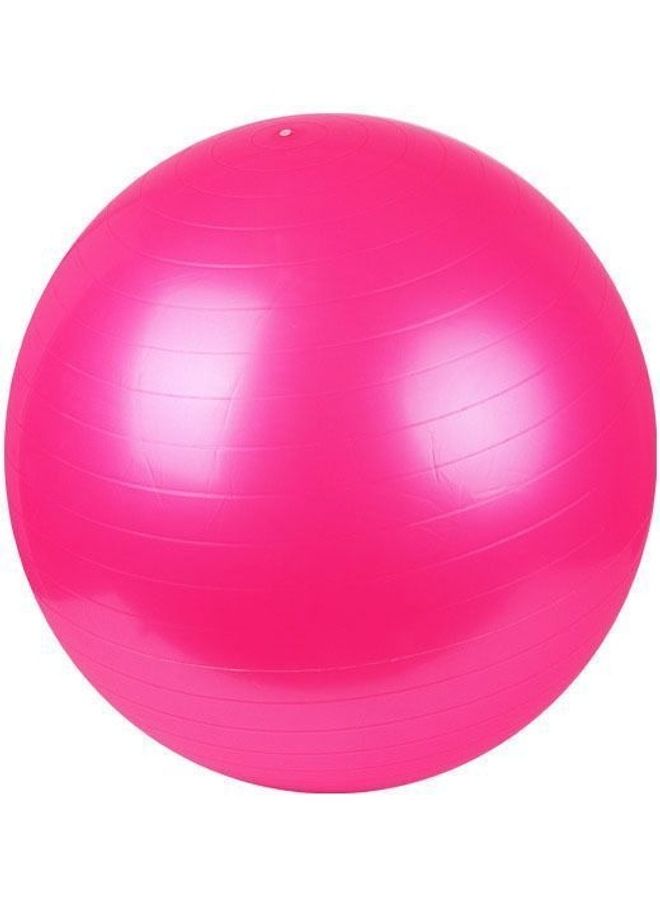 كرة سويسرية لتمارين الأيروبيك واليوغا واللياقة البدنية والبيلاتس والحمل والولادة 65سم - Image 2