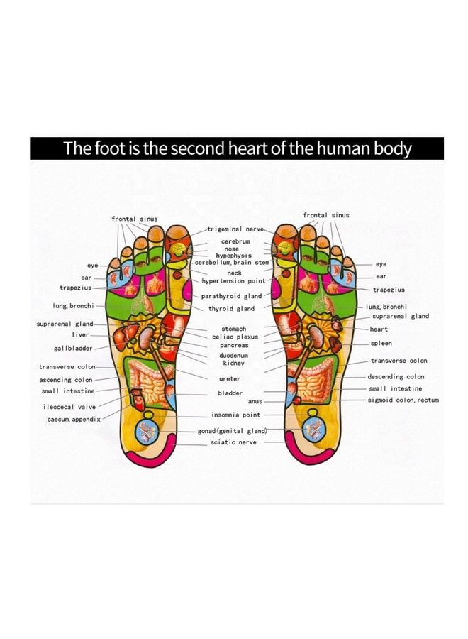 EMS Foot Massager Machine With Remote - Image 5