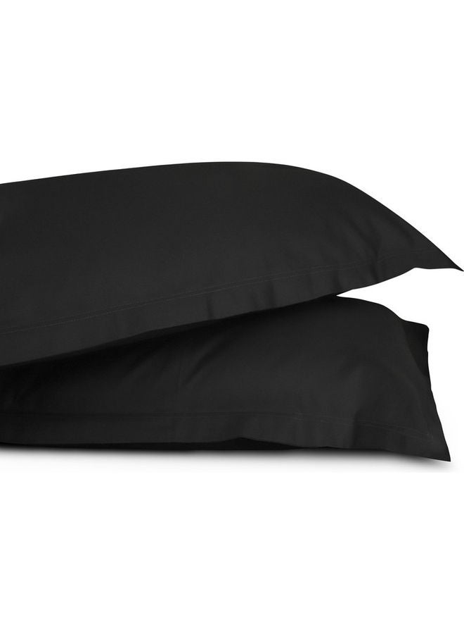 ترايدنت طقم ملاءات ملكي فاخر من 3 قطع 700 خيط 100% قطن سوبيما يتضمن 1 ملاءة مشدودة 59x79+16 بوصة، 2 غطاء وسادة - Image 3