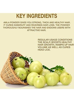 Pure Amla Powder for Face and Hair Care White 100grams - v1629118239/N50141024A_4