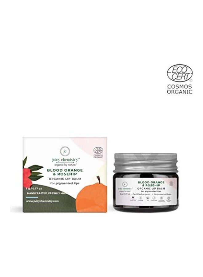 Juicy Chemistry - Blood Orange and Rosehip Organic Lip Balm Grey 5grams - Image 1
