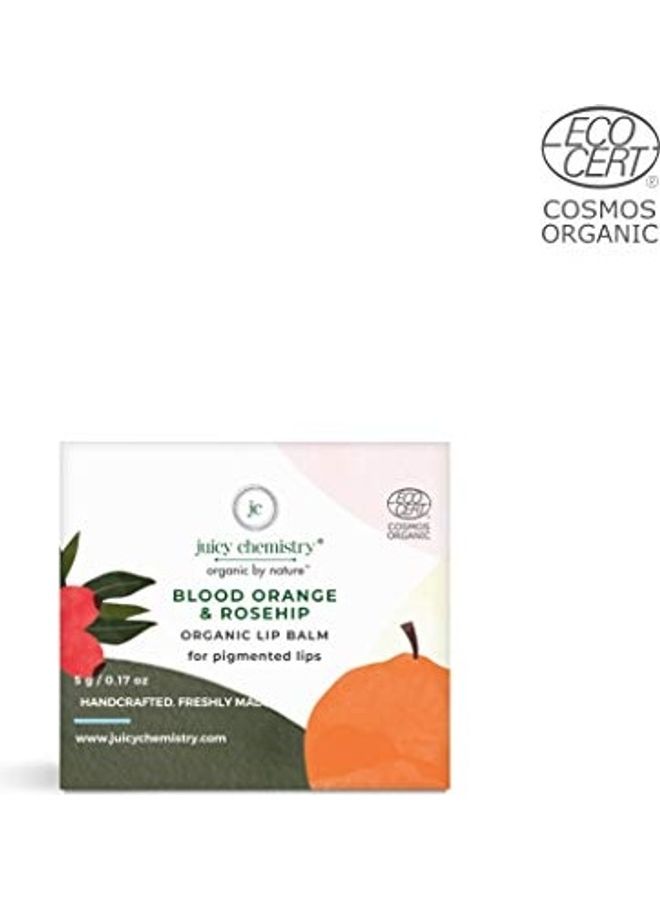 Juicy Chemistry - Blood Orange and Rosehip Organic Lip Balm Grey 5grams - Image 1
