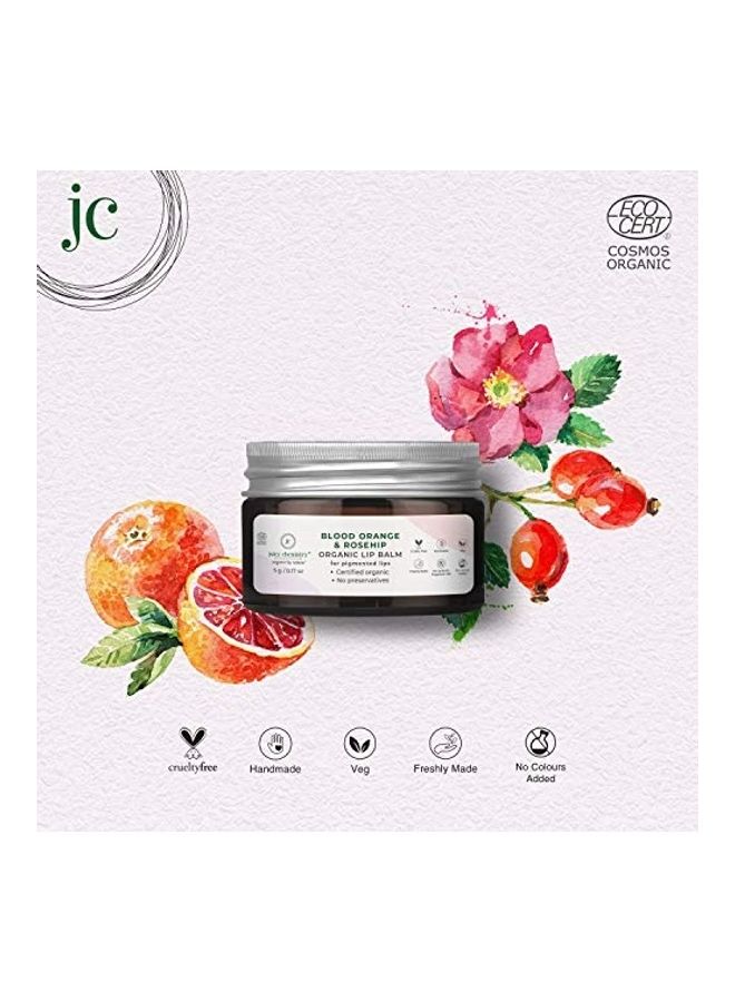 Juicy Chemistry - Blood Orange and Rosehip Organic Lip Balm Grey 5grams - Image 1