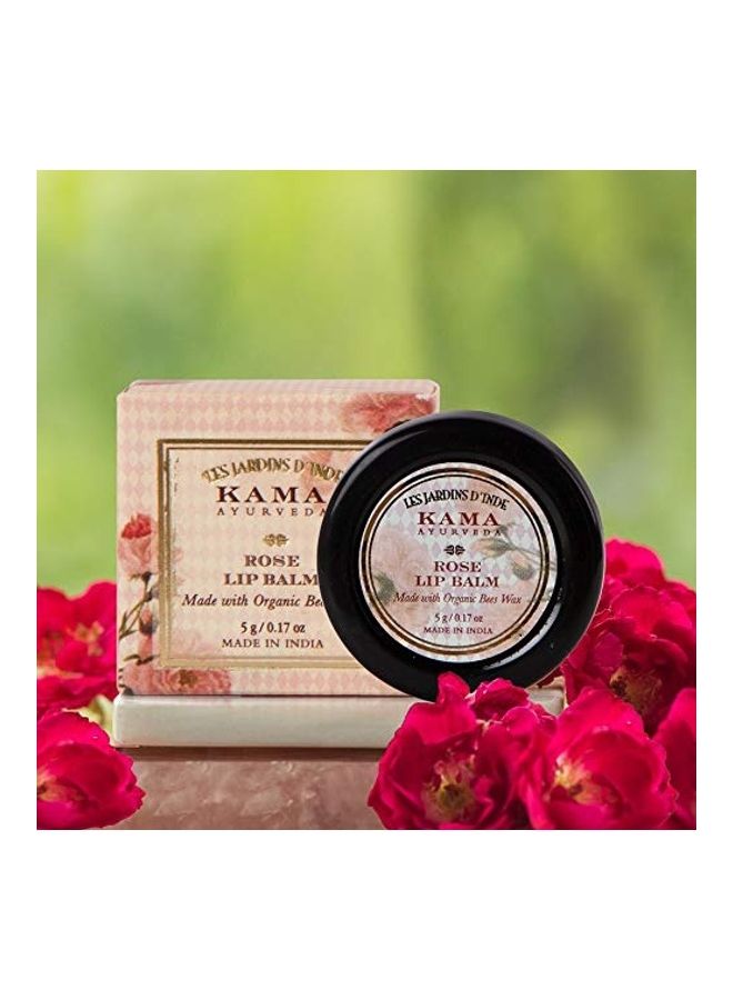 كاما ايورفيدا مرطّب شفاه بالورد. لون وردي 5جرام - Image 3