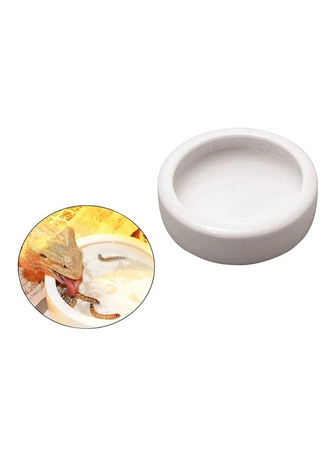 طبق دودة مضاد للرّواسب من السّيراميك الناعم أبيض 13سم - Image 2