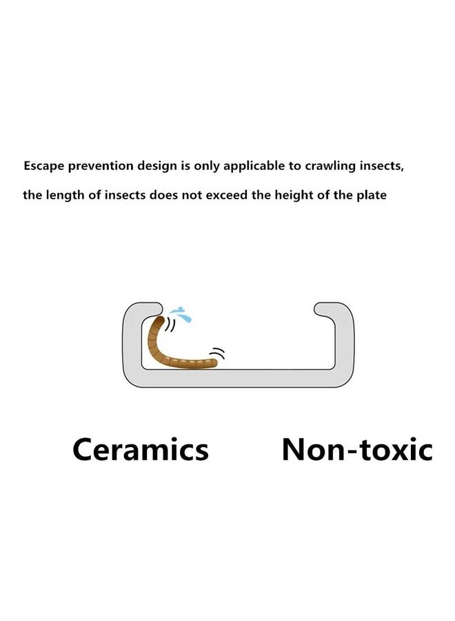 طبق دودة مضاد للرّواسب من السّيراميك الناعم أبيض 13سم - Image 3