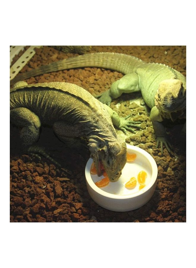 طبق دودة مضاد للرّواسب من السّيراميك الناعم أبيض 13سم - Image 5