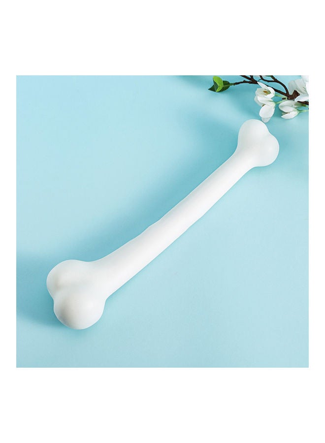 Generic - Bones Simulation Prop - Image 1