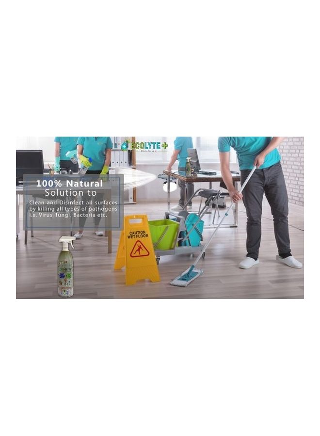 ECOLYTE+ - Multi-Surface Disinfectant Transparent 1Liters - Image 1