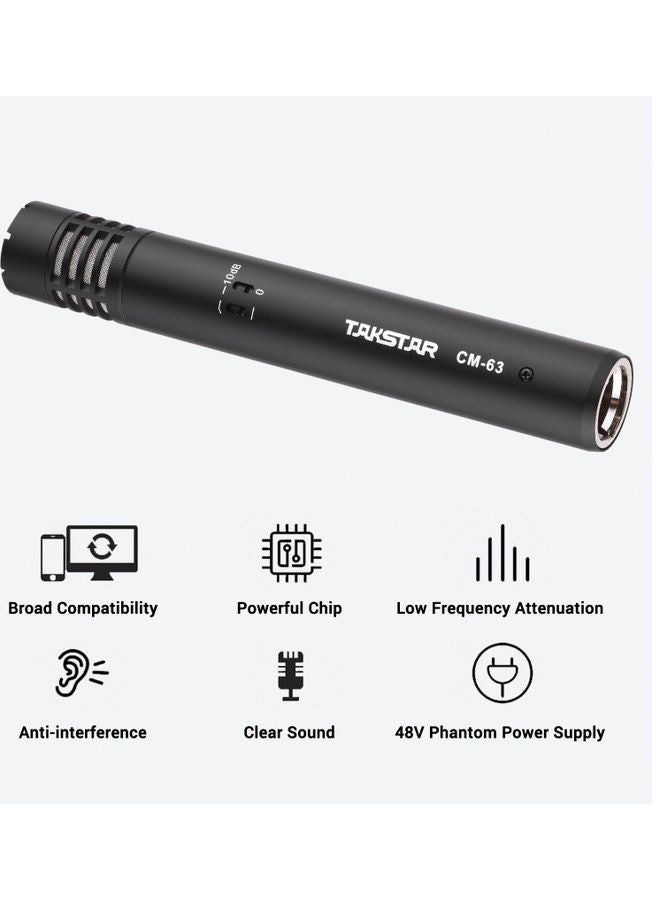 Professional Condenser Microphone
