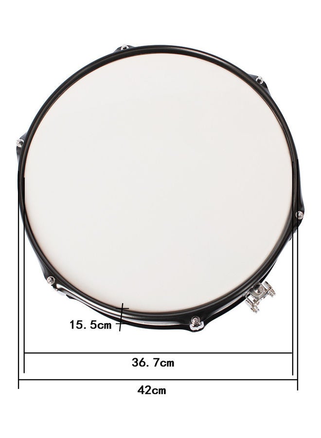 Professional Snare Drum Head - v1629297512/N50231790A_5