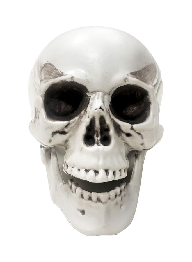 Party Magic Mini Skulls 3pc One Size