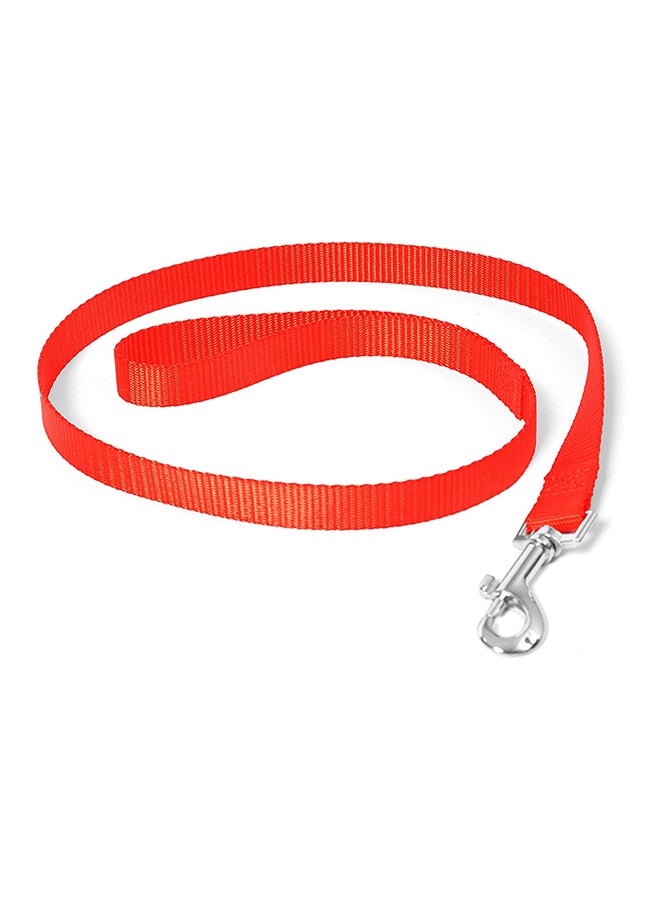 Duvo Nylon Dog Training Lead Red 