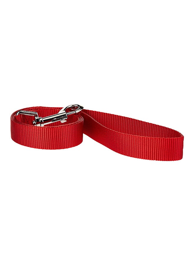 Duvo Nylon Dog Training Lead Red