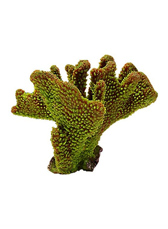 Pocillopora Eydouxi Replica Coral Green 8x6.5x5.5cm