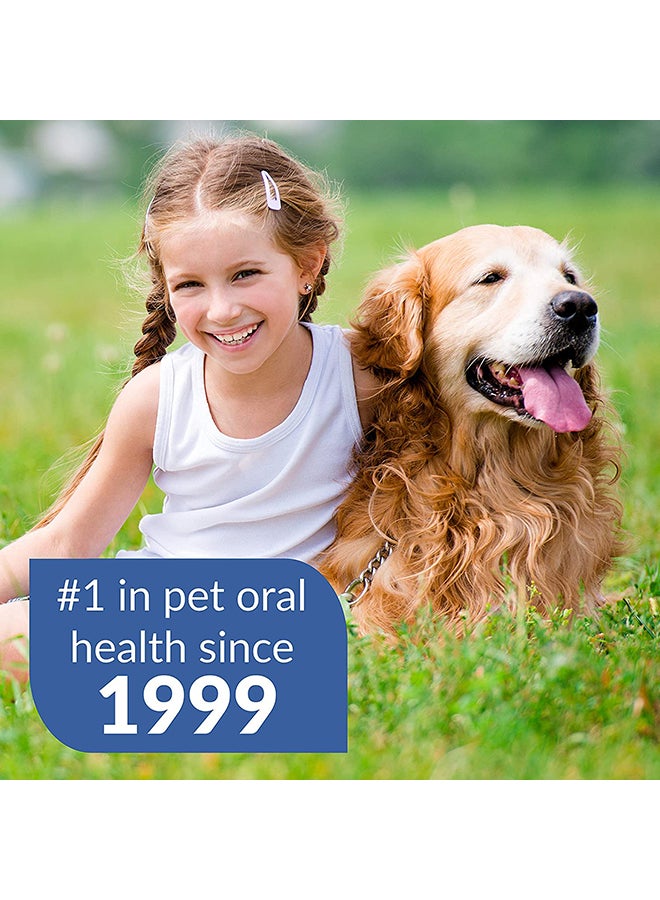 SynergyLabs Dental Fresh Advanced Whitening White 500ml - Image 2