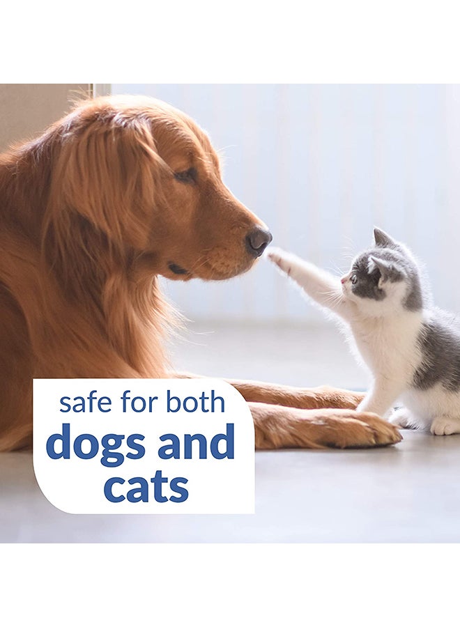 SynergyLabs Dental Fresh Advanced Whitening White 500ml - Image 4