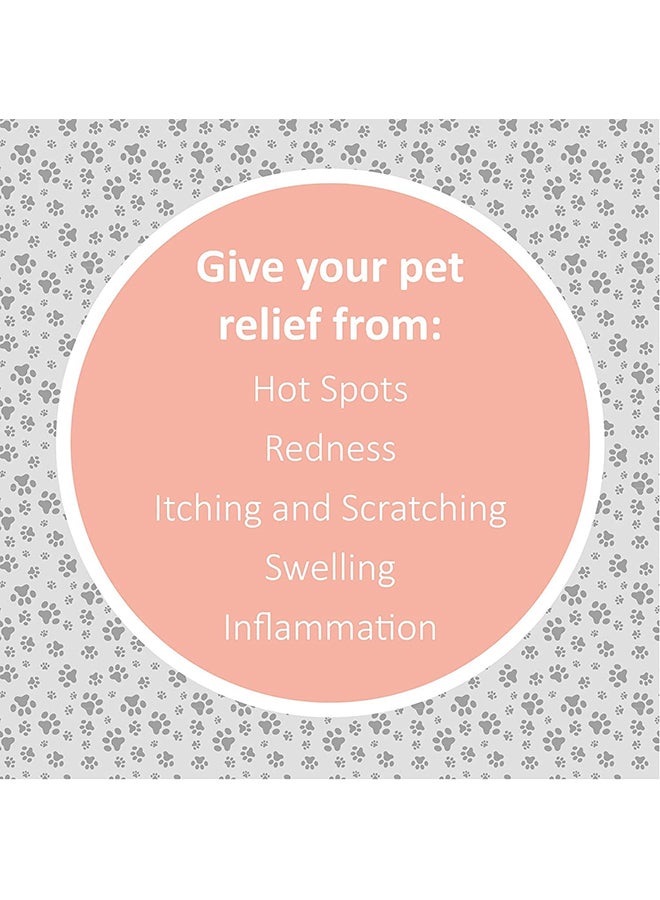 SynergyLabs Clinical Care Hot Spot And Itch Relief Pet Medicated Shampoo White 473ml  - Image 4