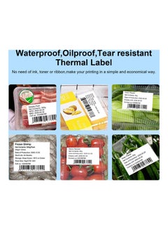 Generic Self-Adhesive Thermal Label Paper  - Image 5