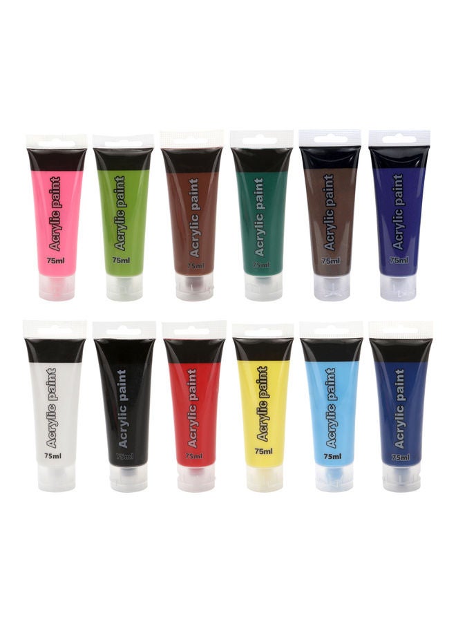 12-Piece Acrylic Paint Set Multicolour
