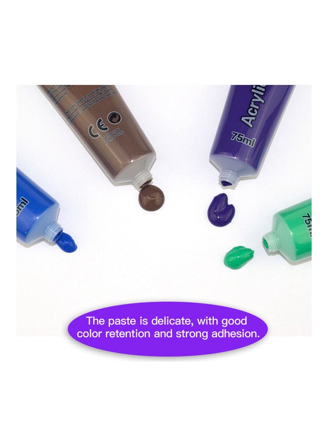 12-Piece Acrylic Paint Set Multicolour
