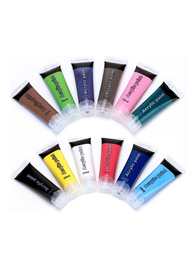 12-Piece Acrylic Paint Set Multicolour
