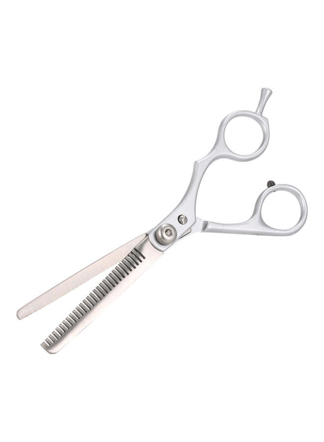 Stainless Steel Thinning Shears With Precision Blades Silver 16.5x5cm - Image 1