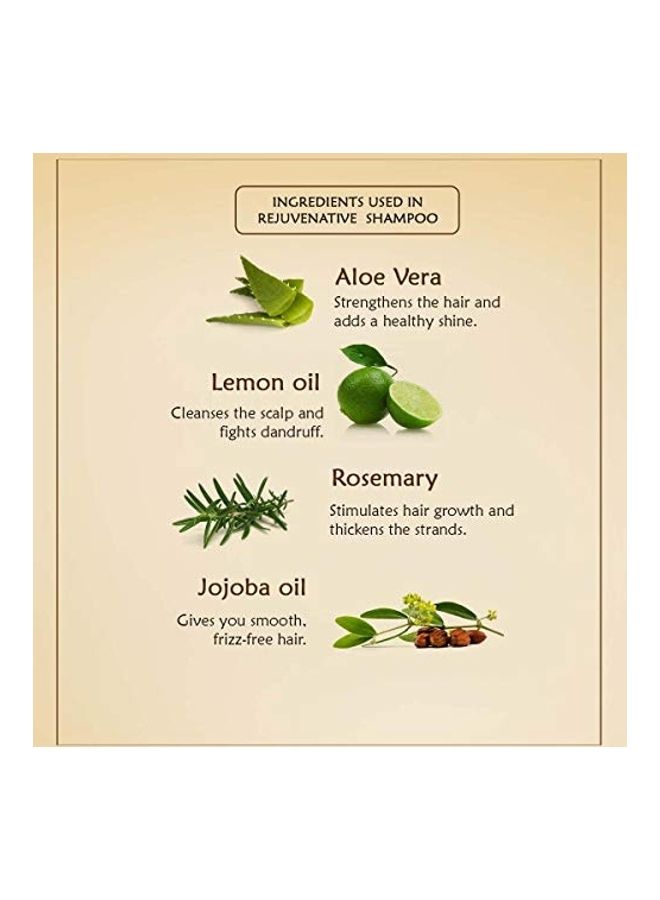 Ancient Living Rejuvenative Shampoo Clear 200ml  - Image 2