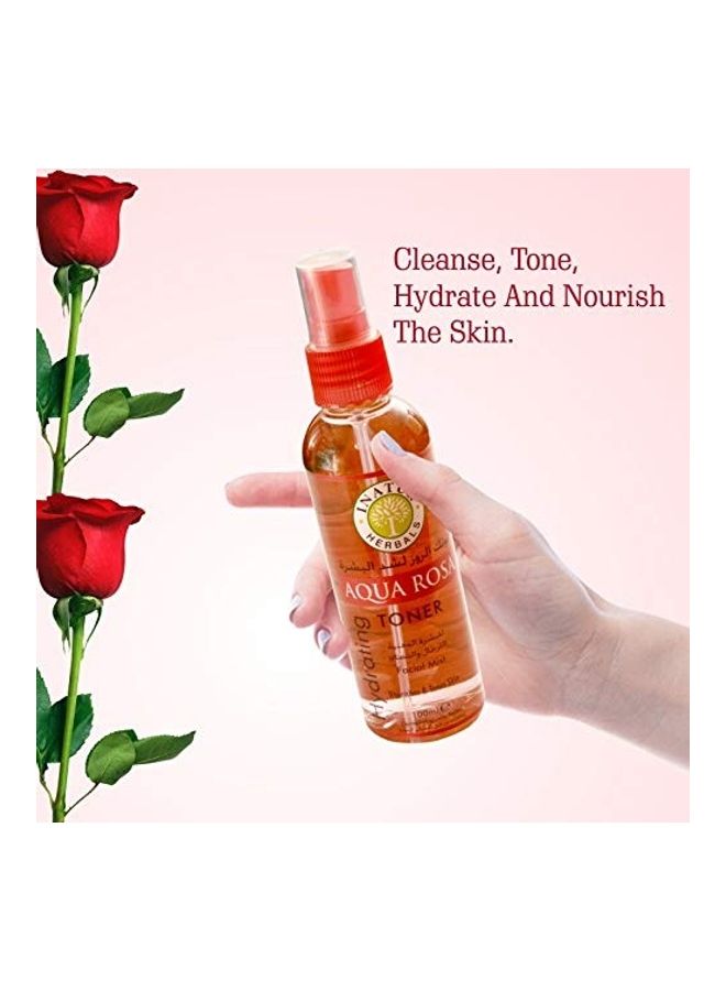 INATUR - Aqua Rose Toner Red 100ml - Image 1