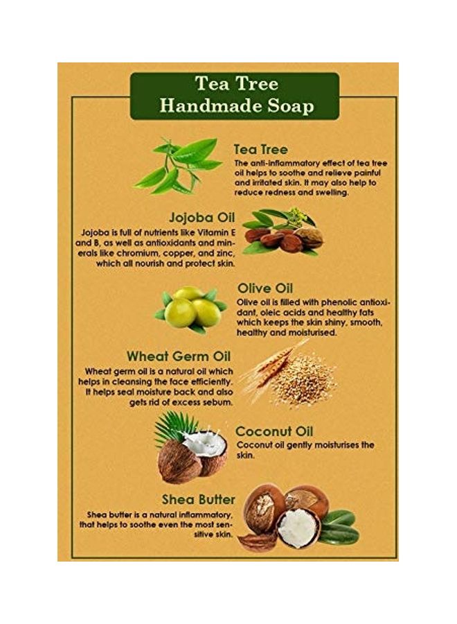 Ancient Living Tea Tree Face Wash With Tea Tree Soap Clear 100ml  - Image 3
