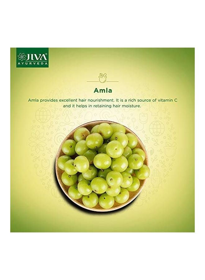 Jiva Pack Of 2 Ayurveda Amla Hair Oil Multicolour 240ml - Image 4