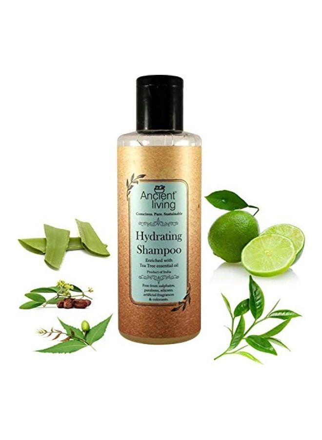 Ancient Living Hydrating Shampoo Clear 200ml  - Image 4