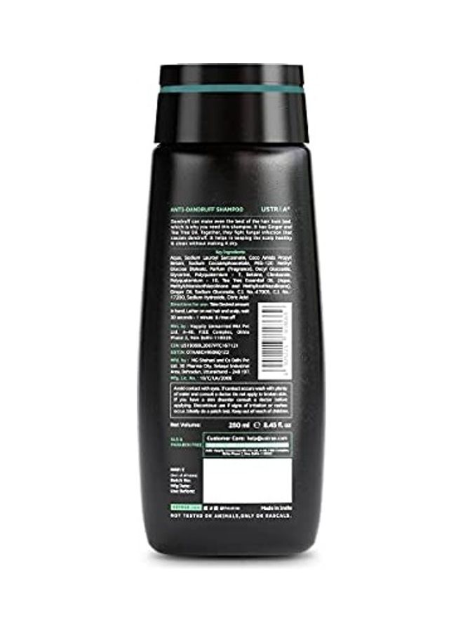 Ustraa Ayurvedic Hair Oil With Shampoo Clear Shampoo 250, Oil 200ml - Image 4