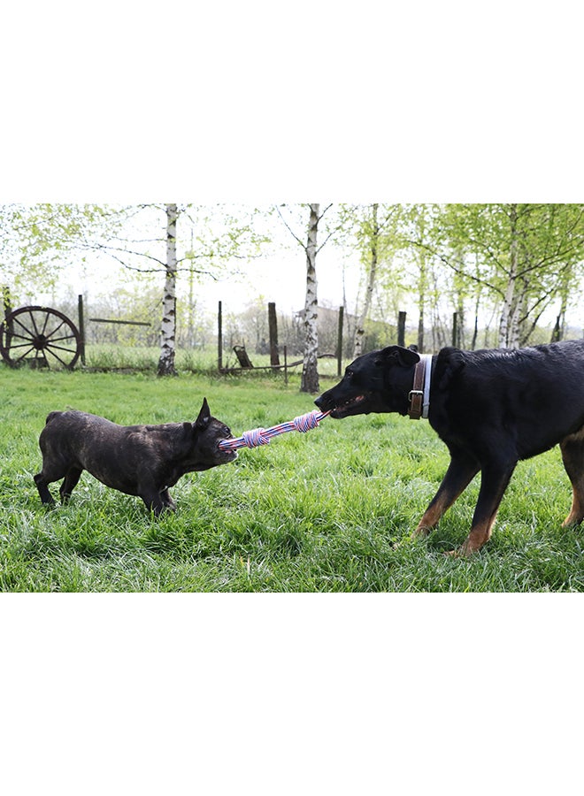 Pet Rope Toy French Double Nods Multicolor - Image 2