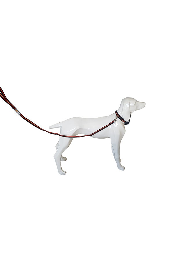 Generic Pet Nylon Leash Multicolor 69grams  - Image 2