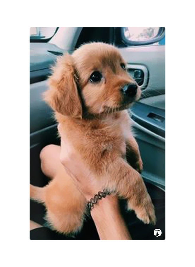 Printed Fridge Magnet Multicolour 8.5x0.4x5.5cm